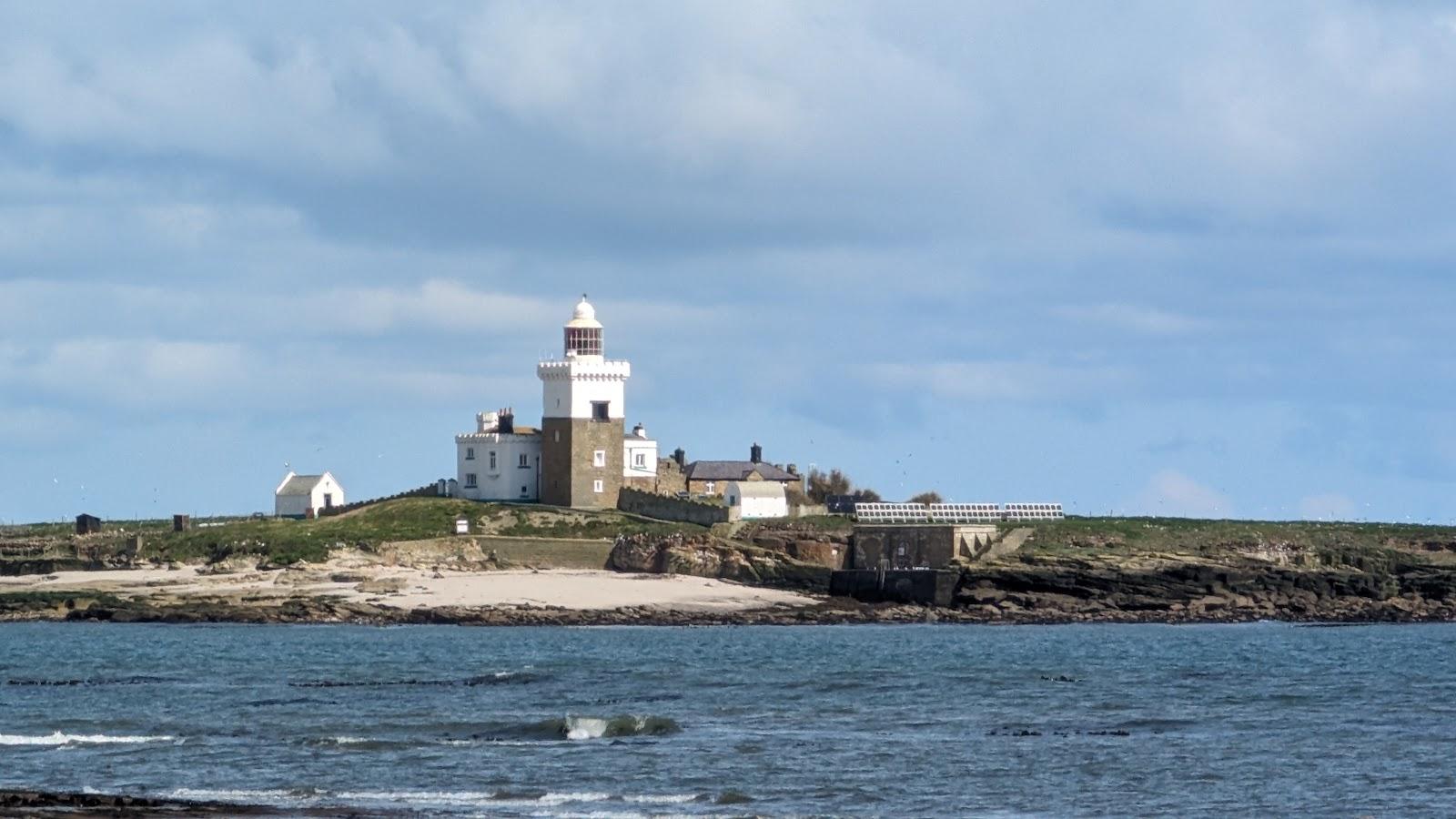 Coquet Island Photo - Sandee