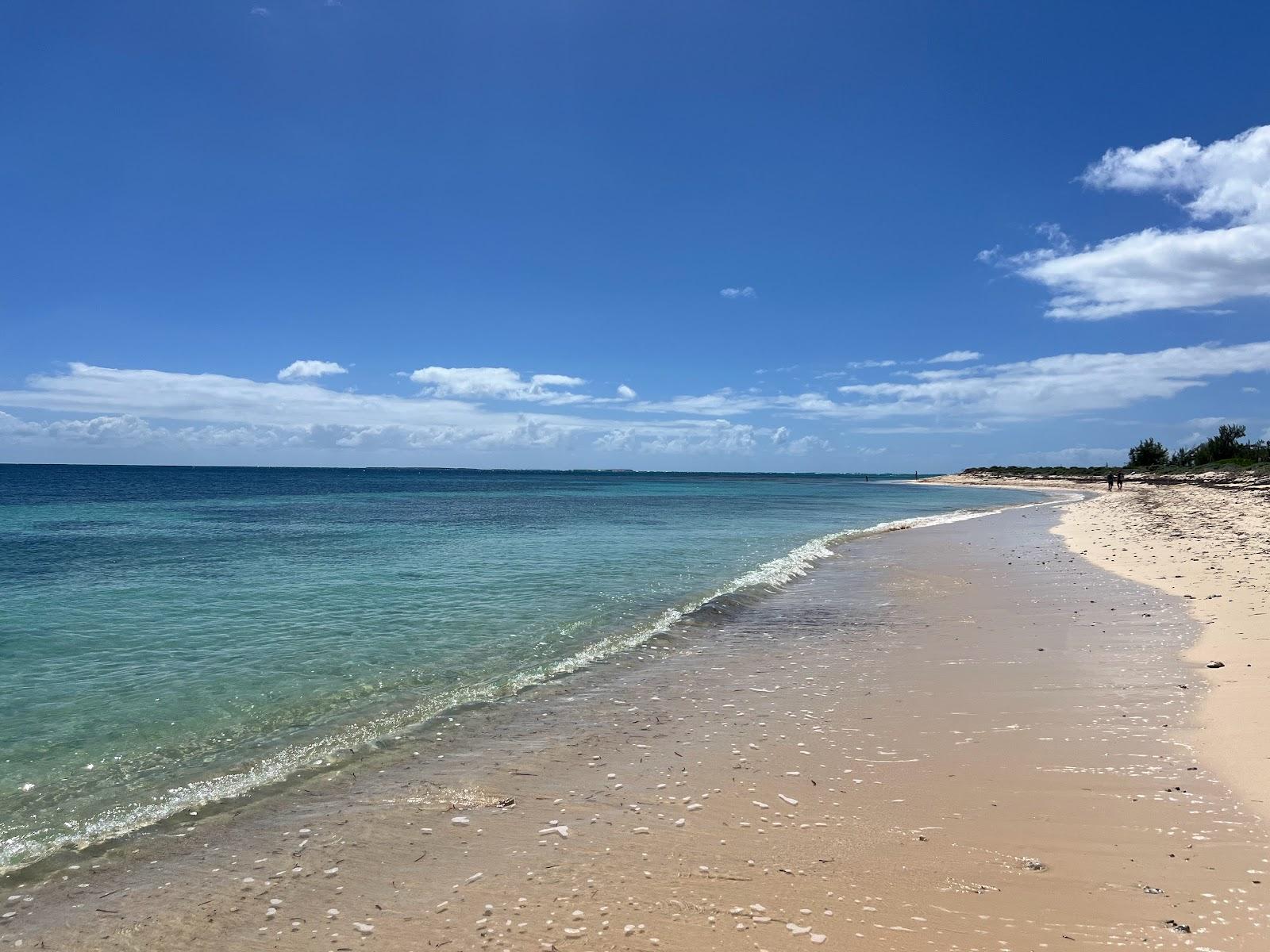 Sandee White Sands Beach