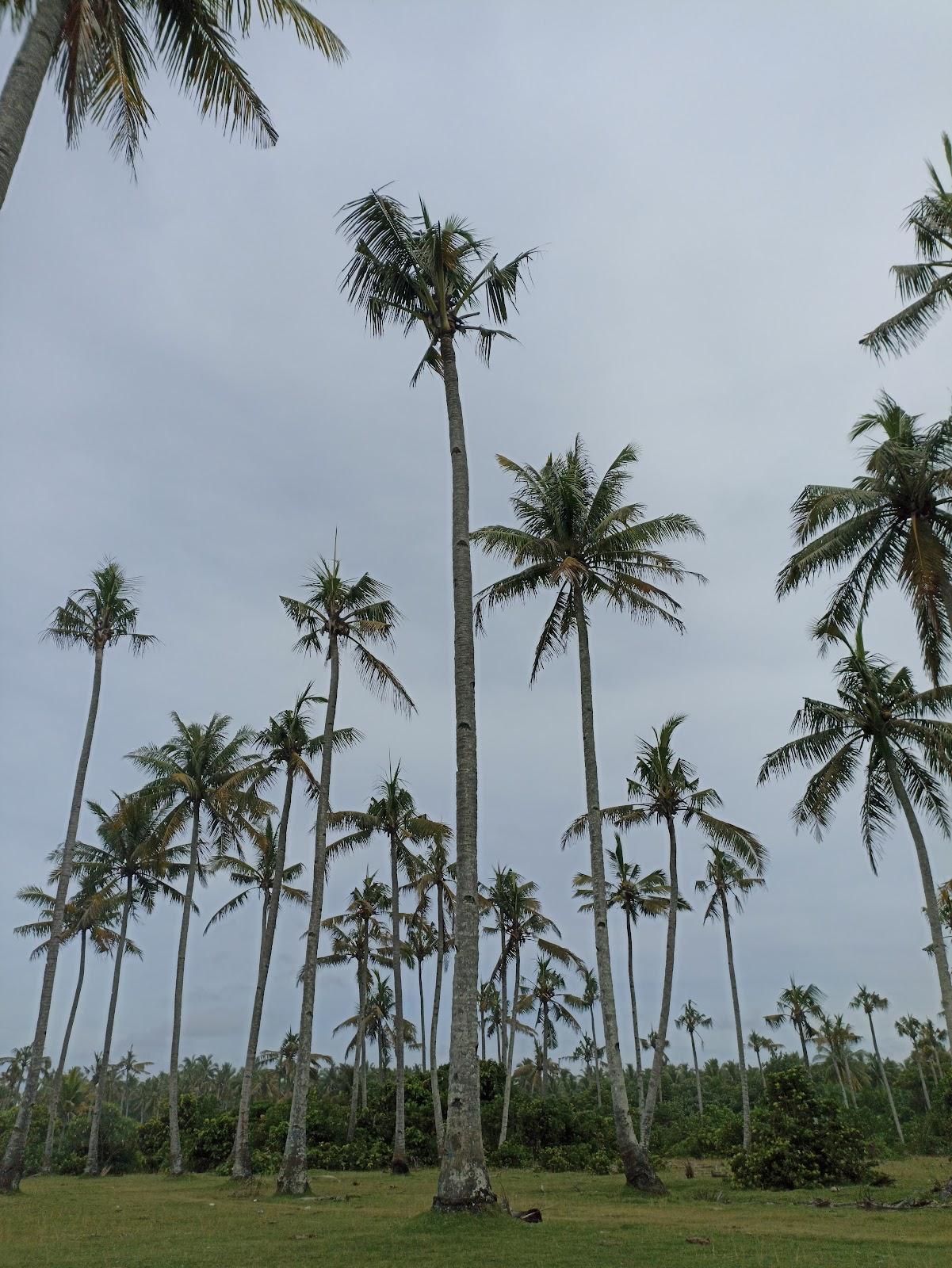 Sandee Pantai Nangai