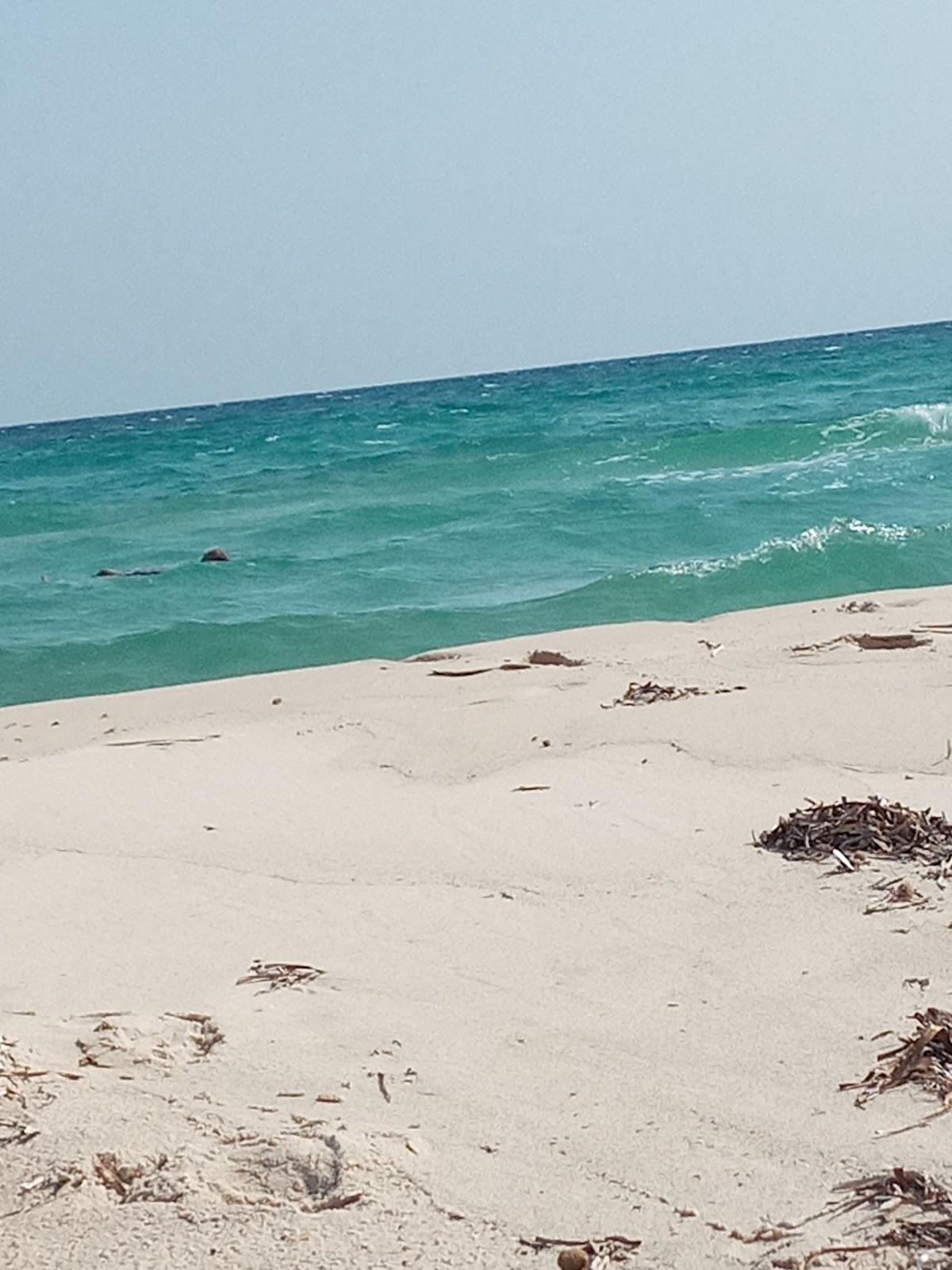 Sandee Plage De Lebna