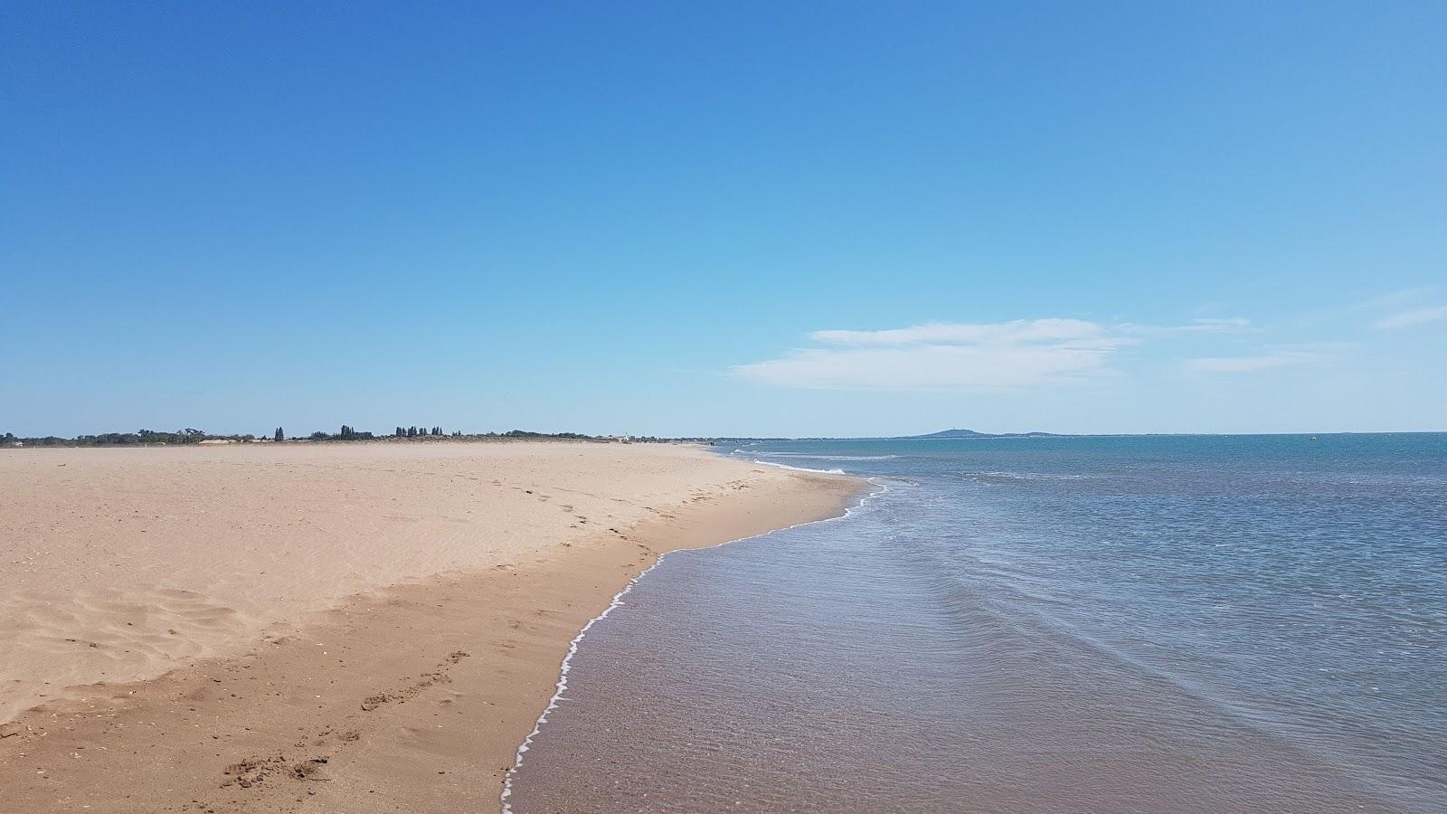 Sandee Plage Du Bosquet
