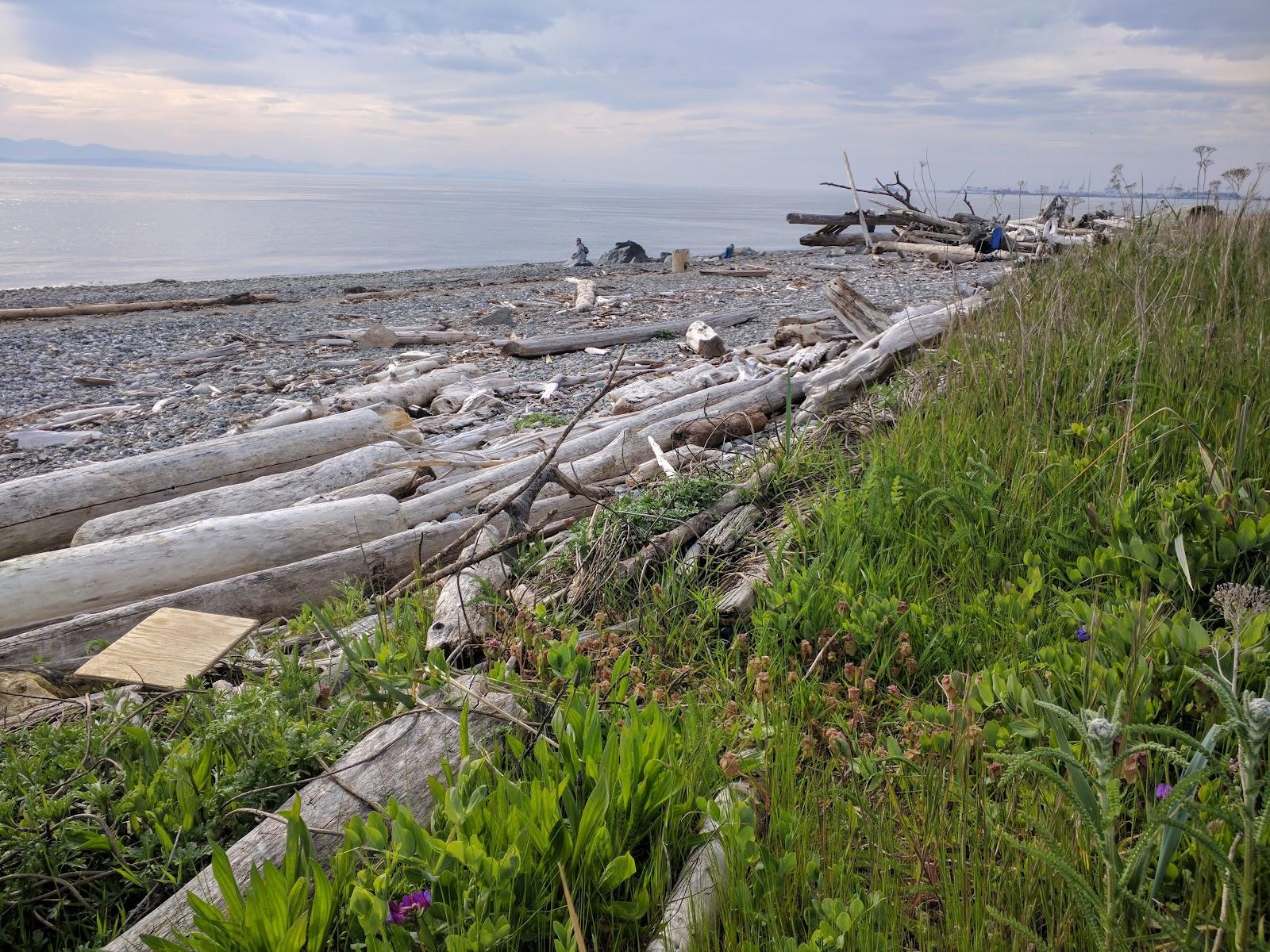 Sandee Point Roberts