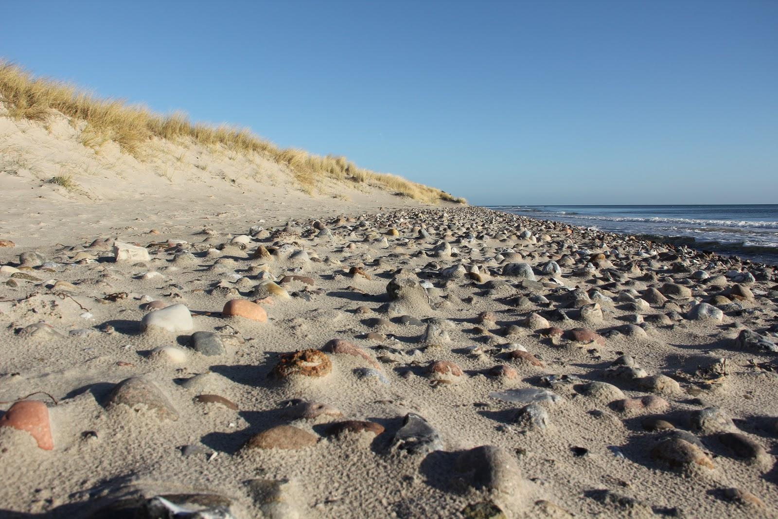 Sandee Hundestrand Gromitz