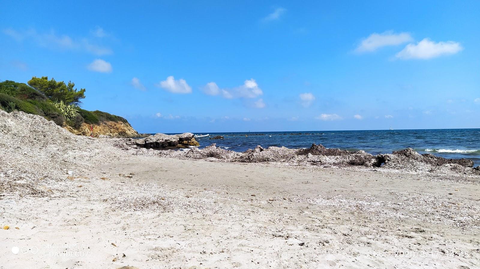 Sandee Dog Beach Tertenia