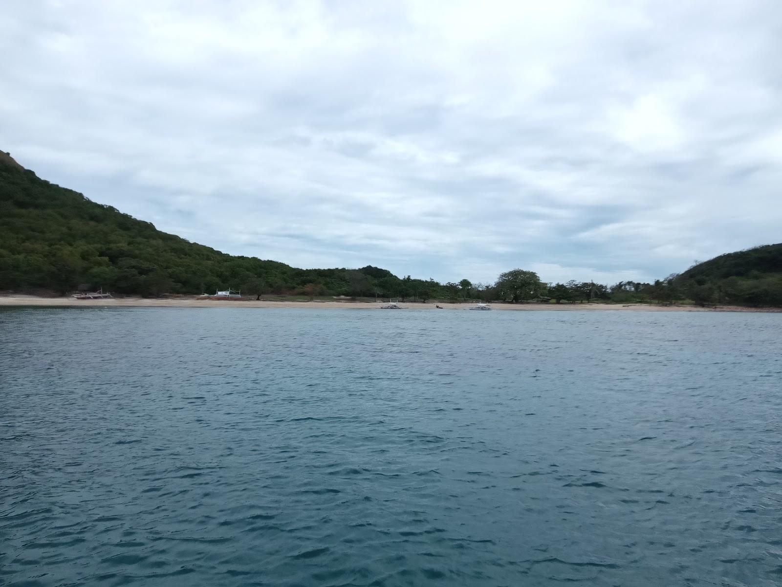 Sandee Canipo Island Beach