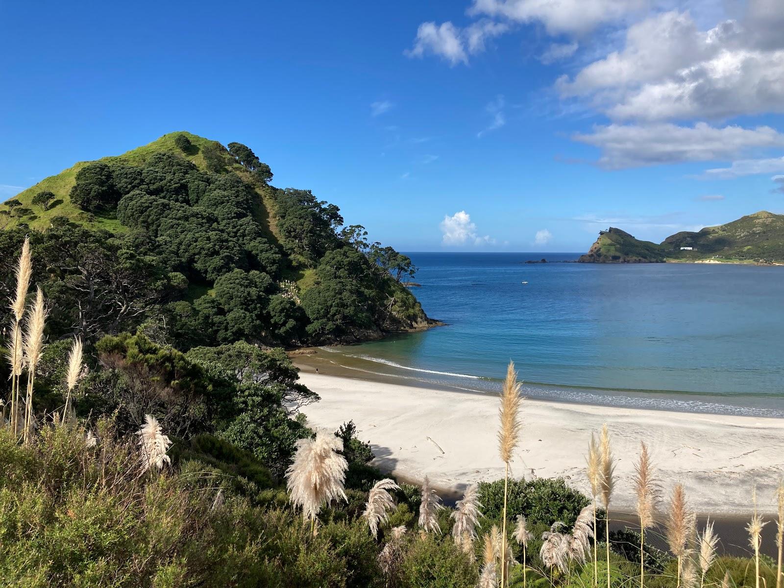Sandee Palmers Beach