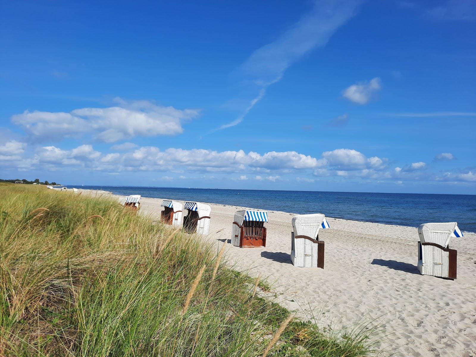 Sandee Kronsgaard Strand