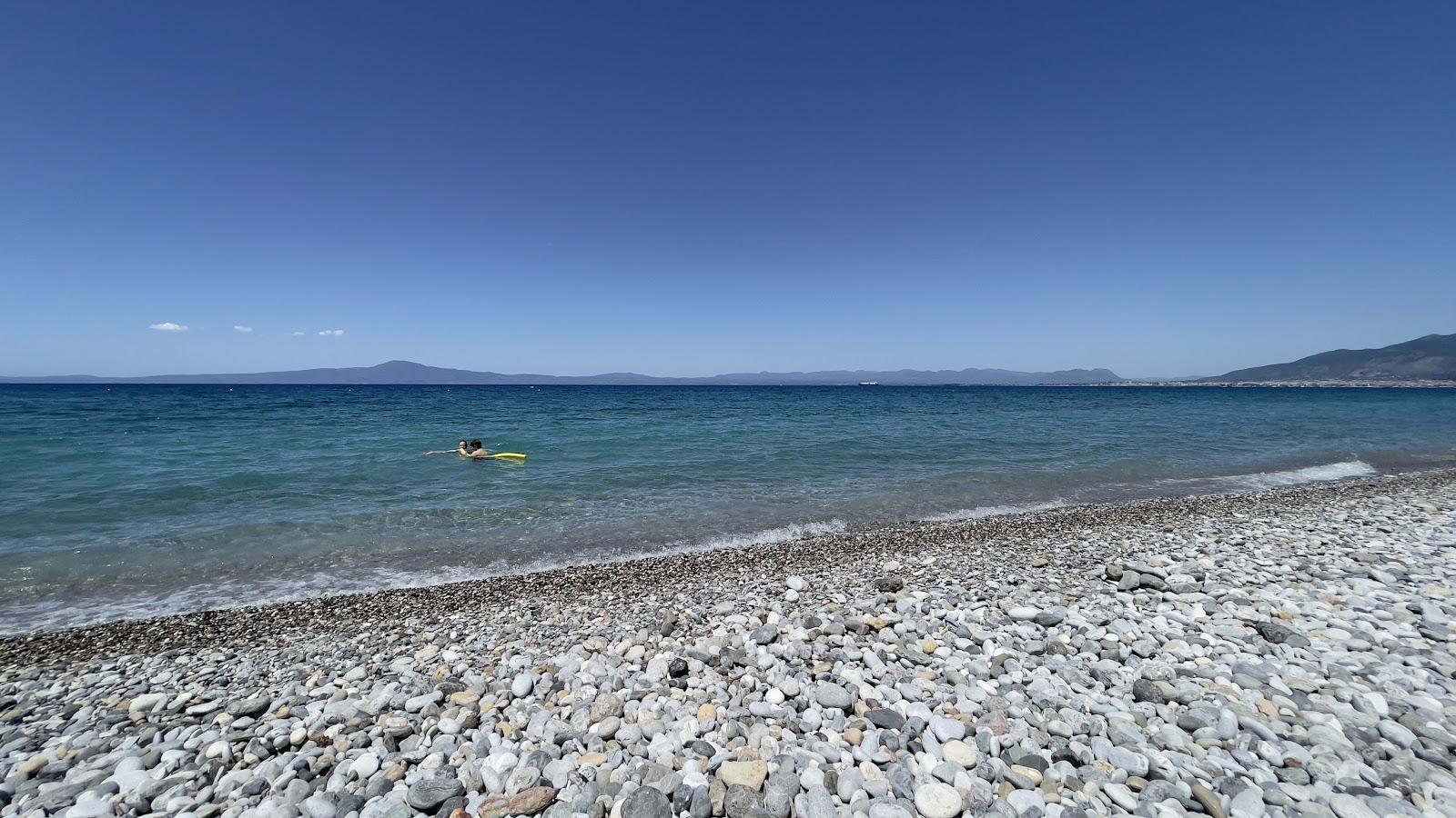 Sandee Mikri Mantinia Beach