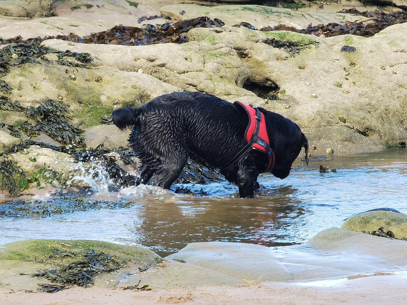 Sandee East Haven Beach
