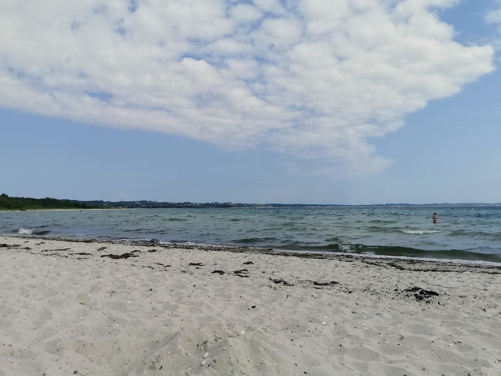 Sandee Femmøller Strand