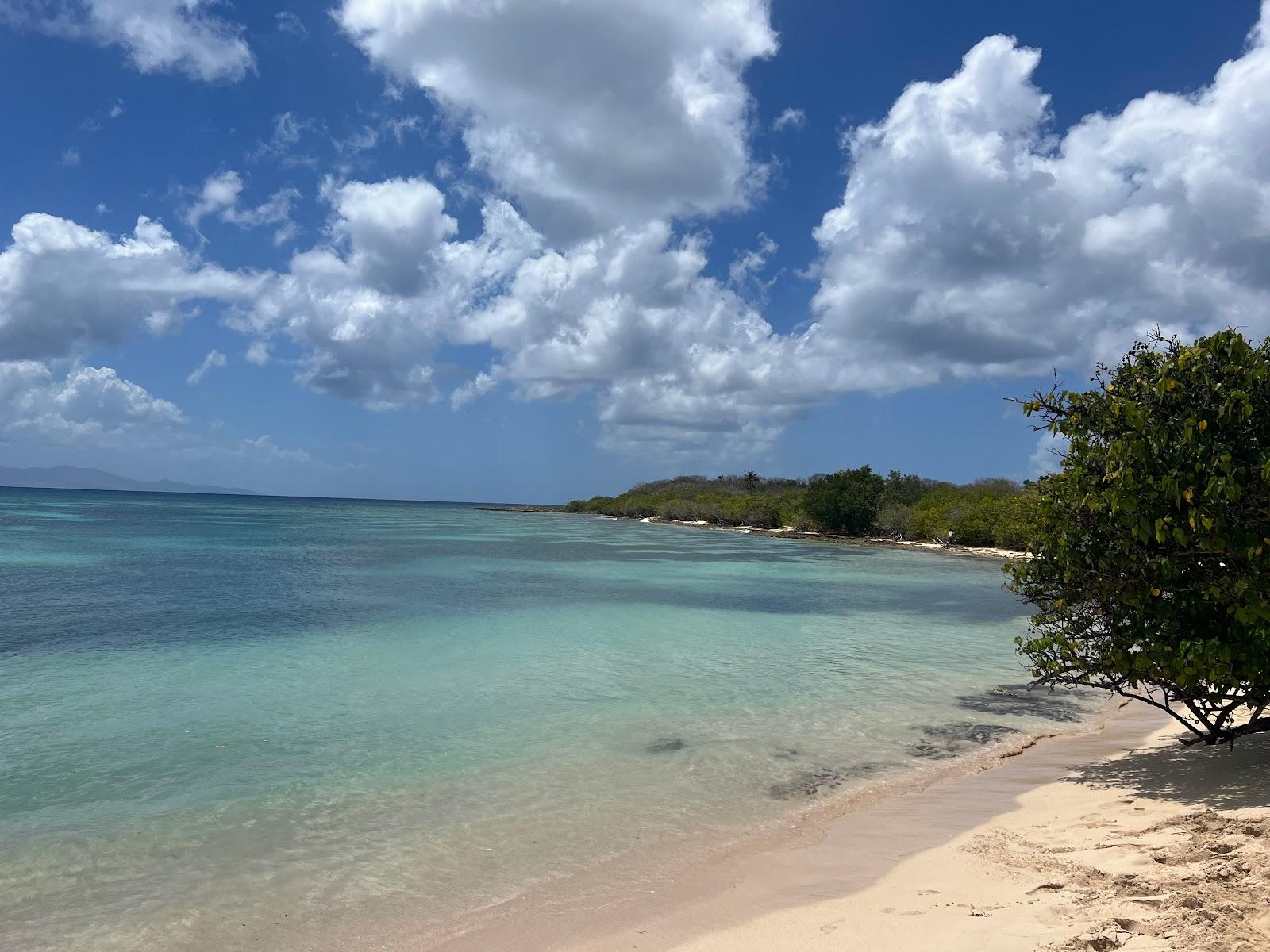 Sandee Plage D'Antigues