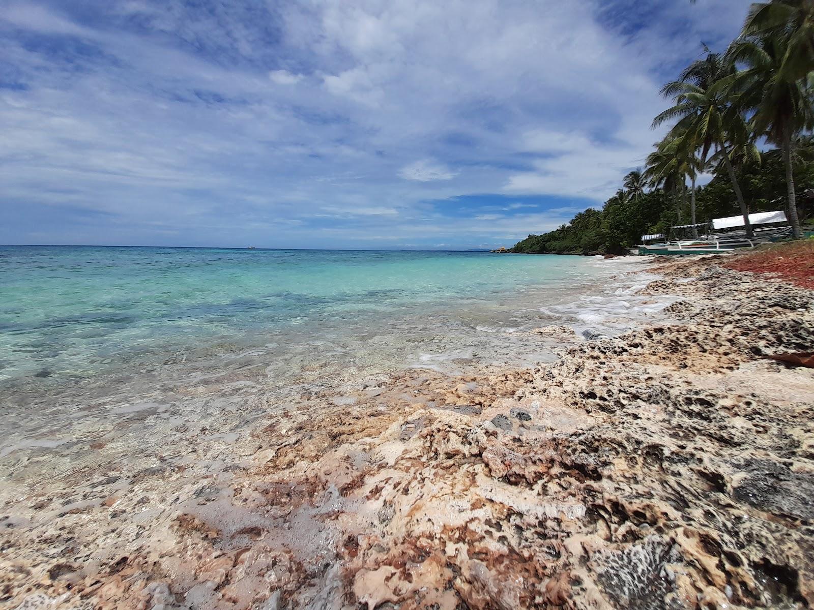 Sandee Palanas Beach