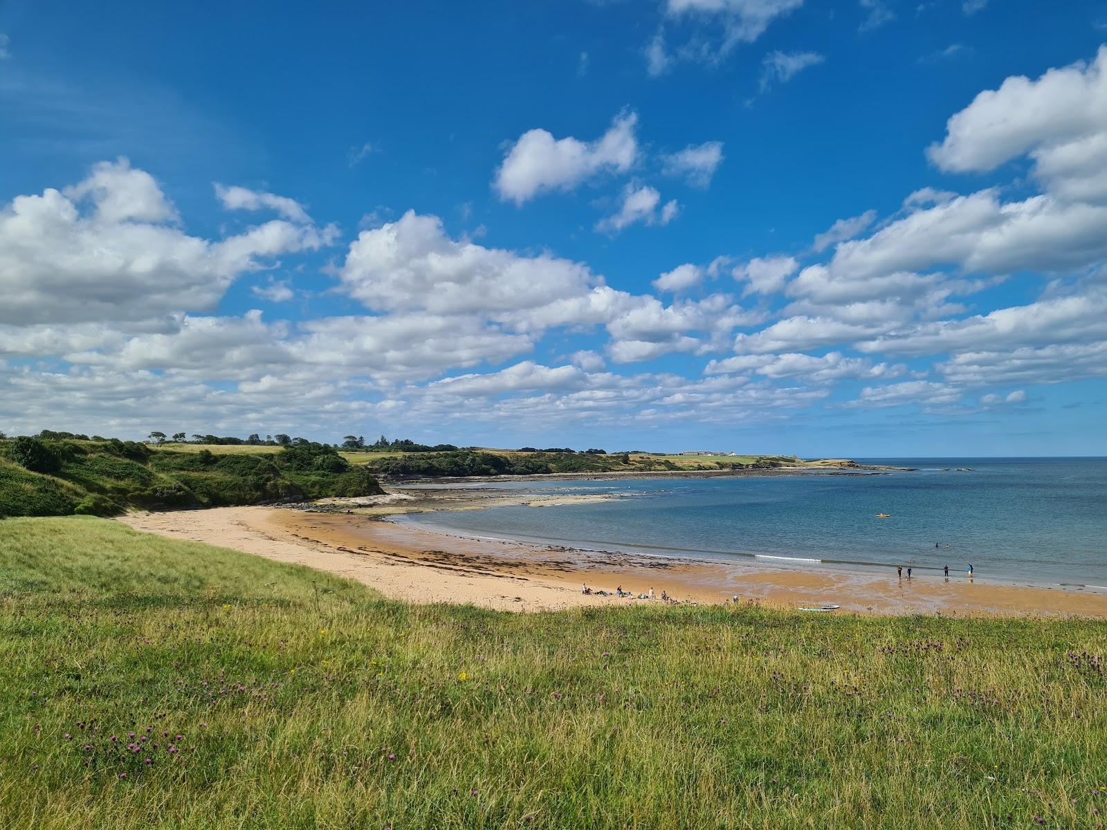 Sandee Longhoughton Steel Beach
