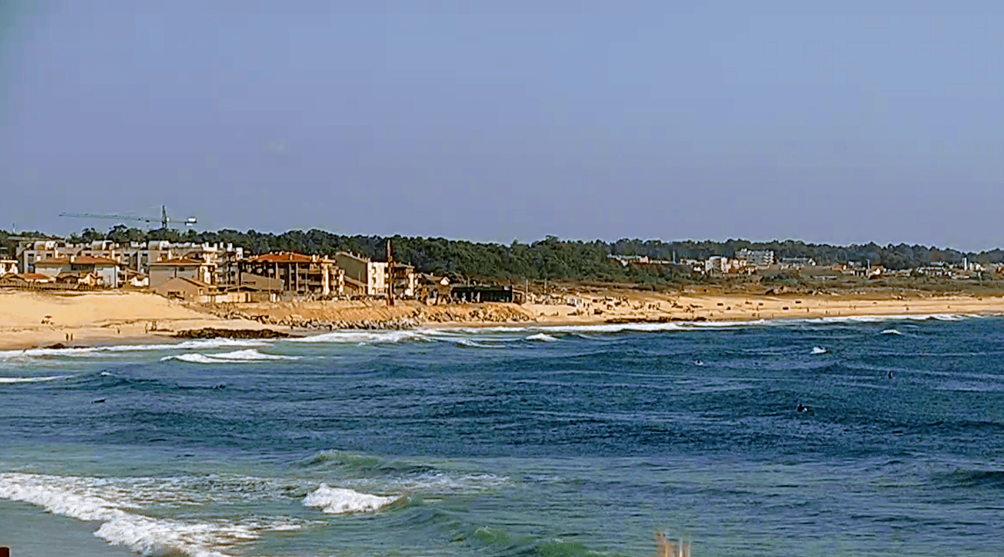 Sandee Praia De Arvore