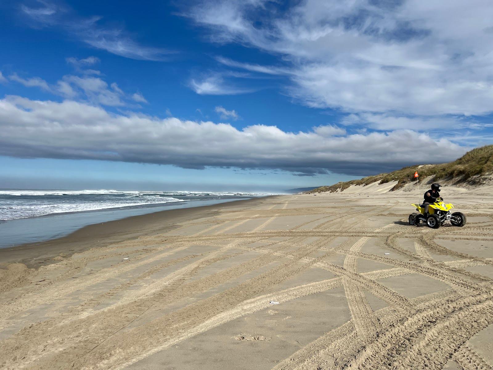 Sandee Hornibrook Shore