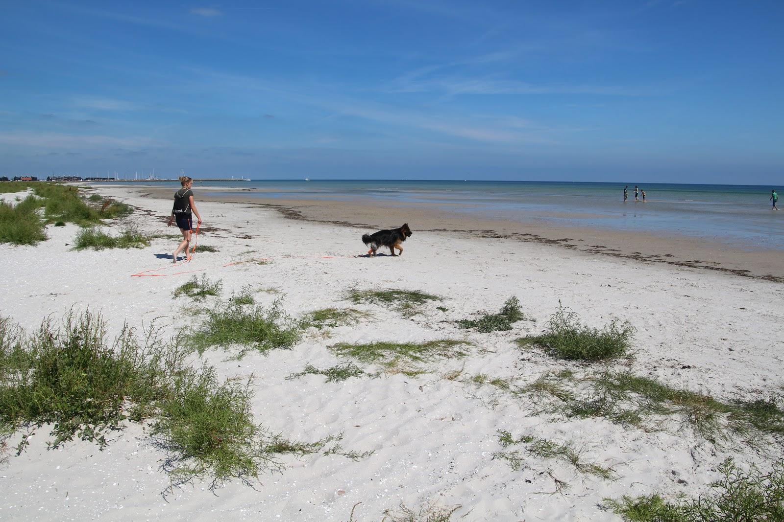 Sandee Public Beach By Novolund In Øster Hurup