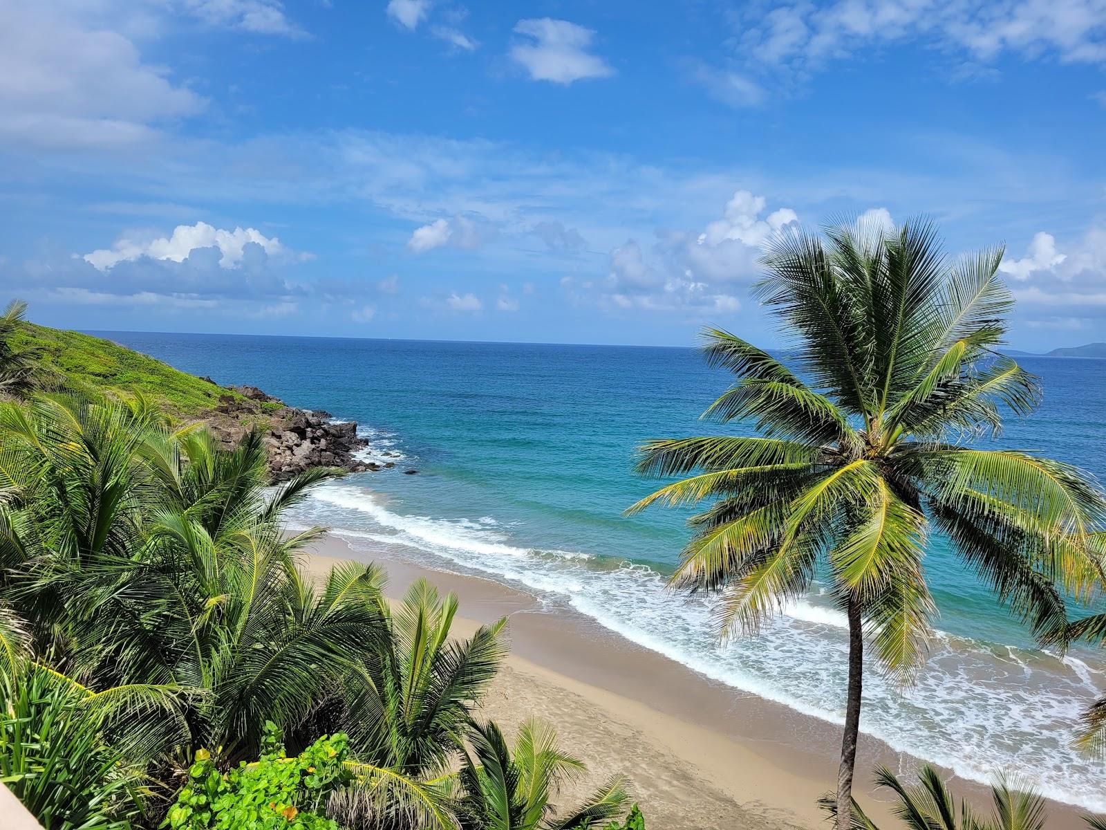 Sandee Petite Anse Beach