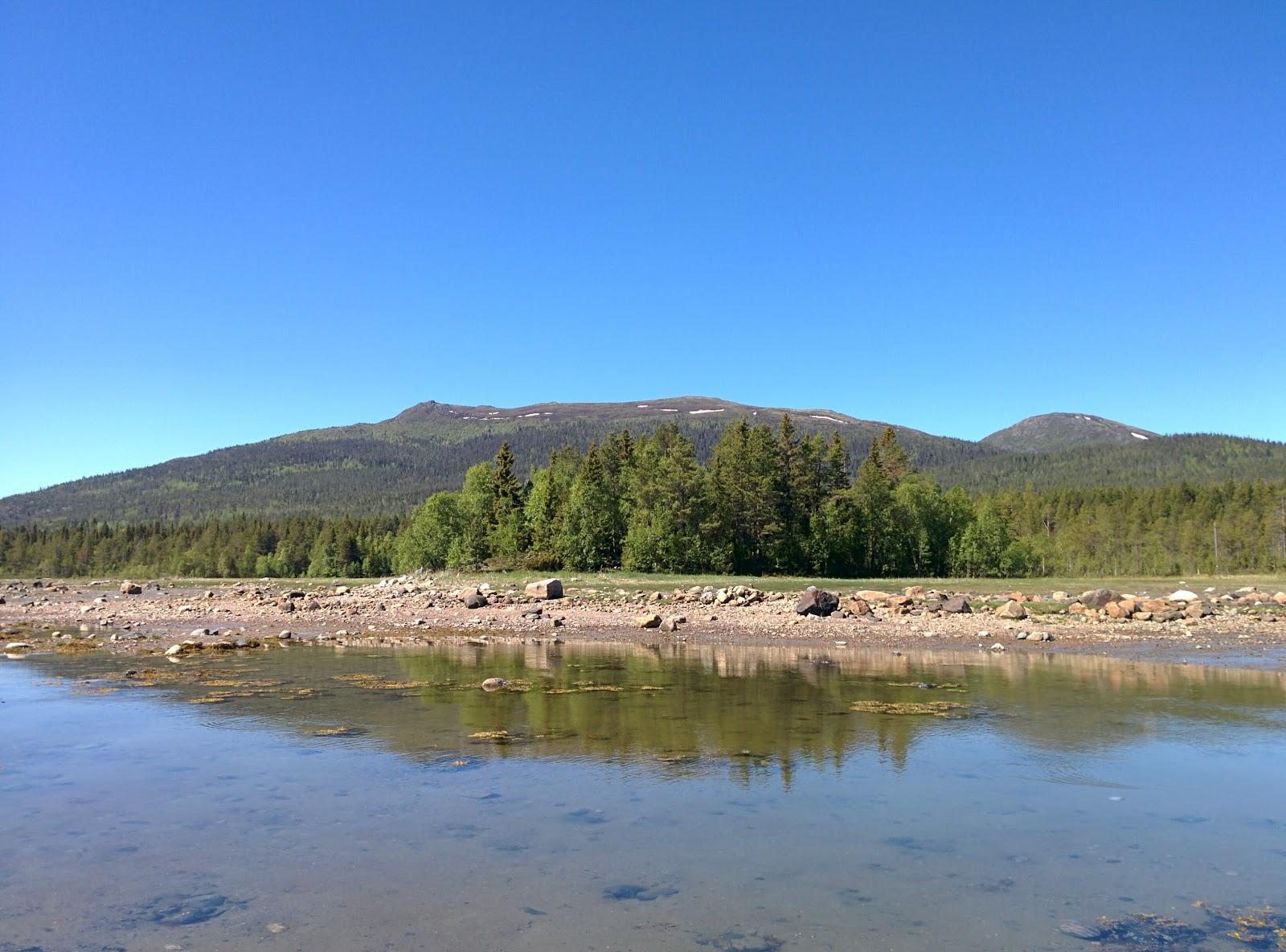 Sandee Kandalakshskiy Gosudarstvennyy Prirodnyy Zapovednik