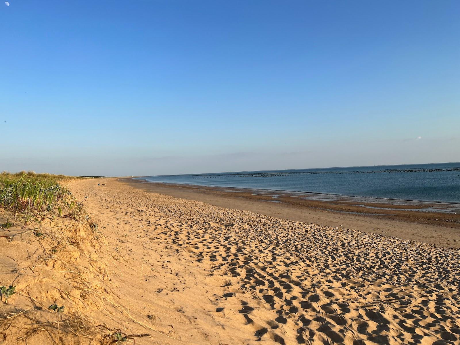 Sandee Plage Des Belugas