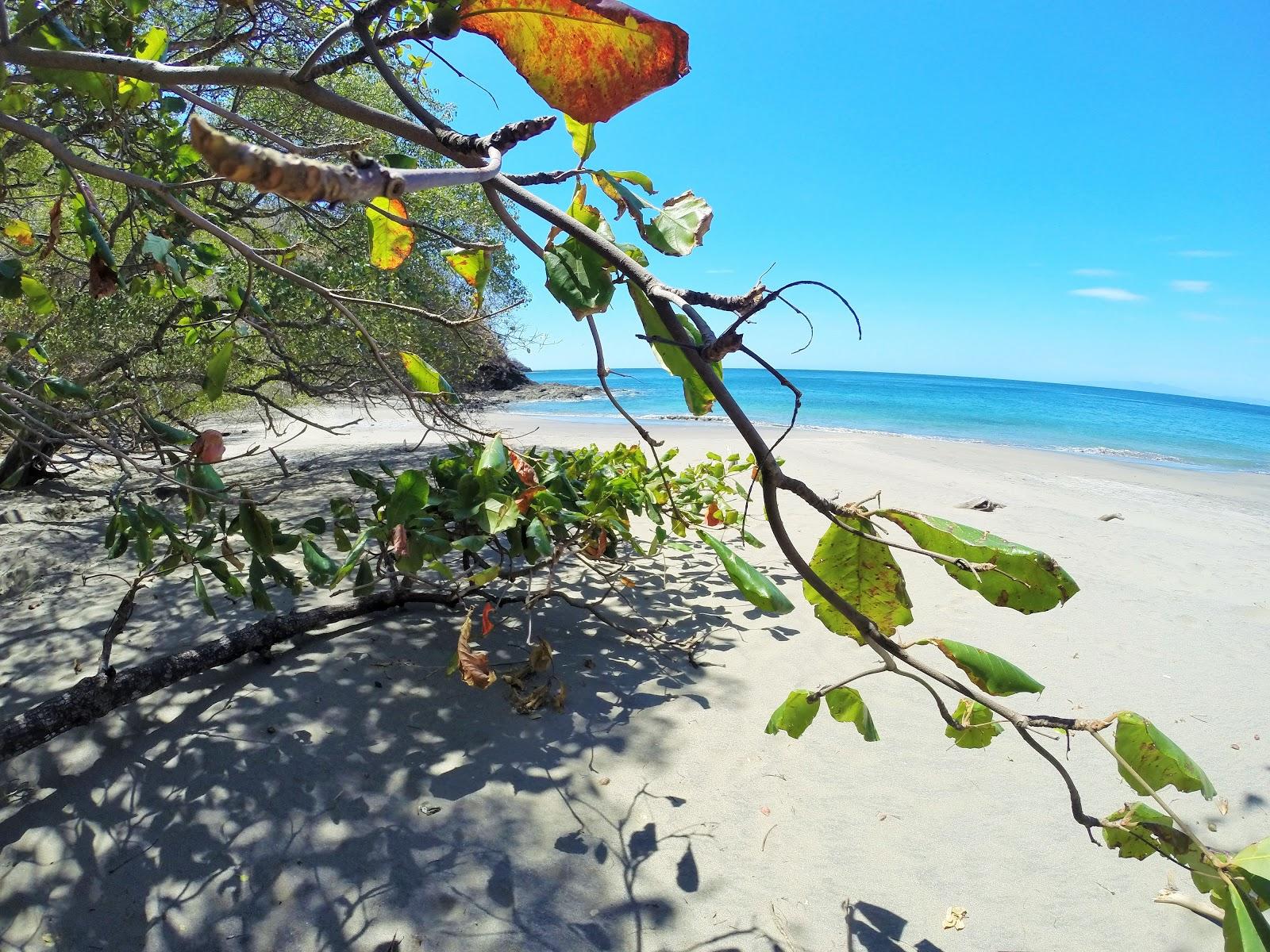 Sandee Gringo Beach