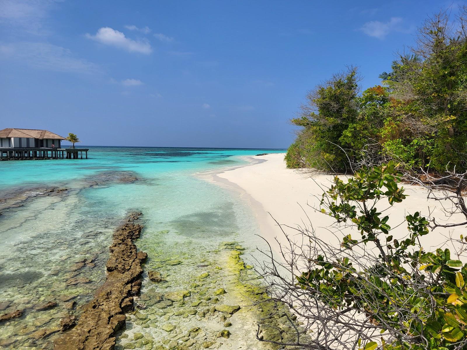 Kuda Funafaru Photo - Sandee