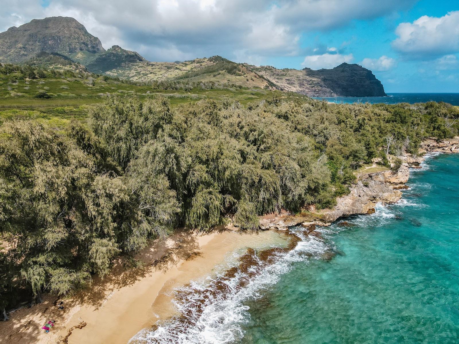 Sandee Kawailoa Beach
