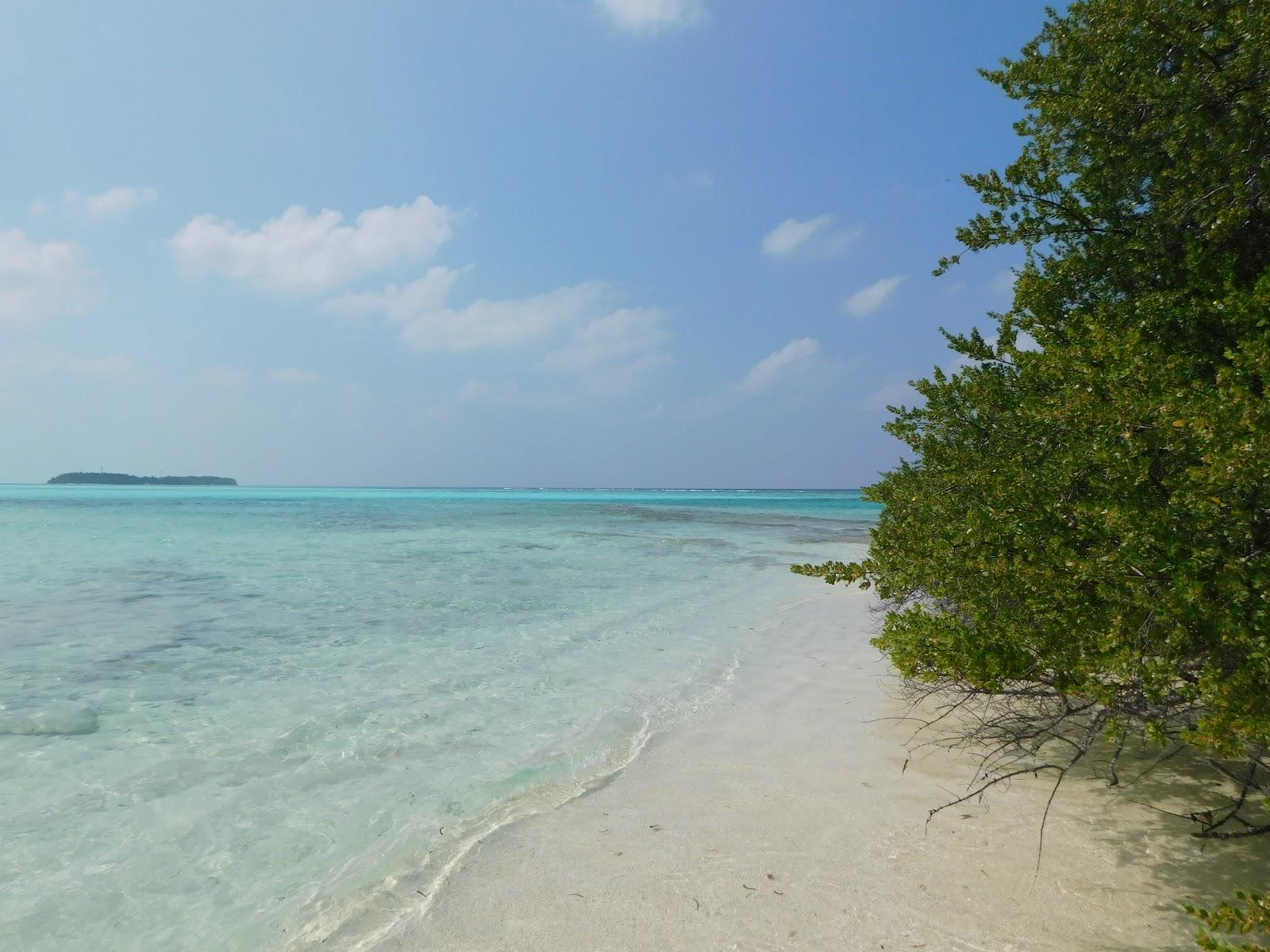 Goidhoo Photo - Sandee