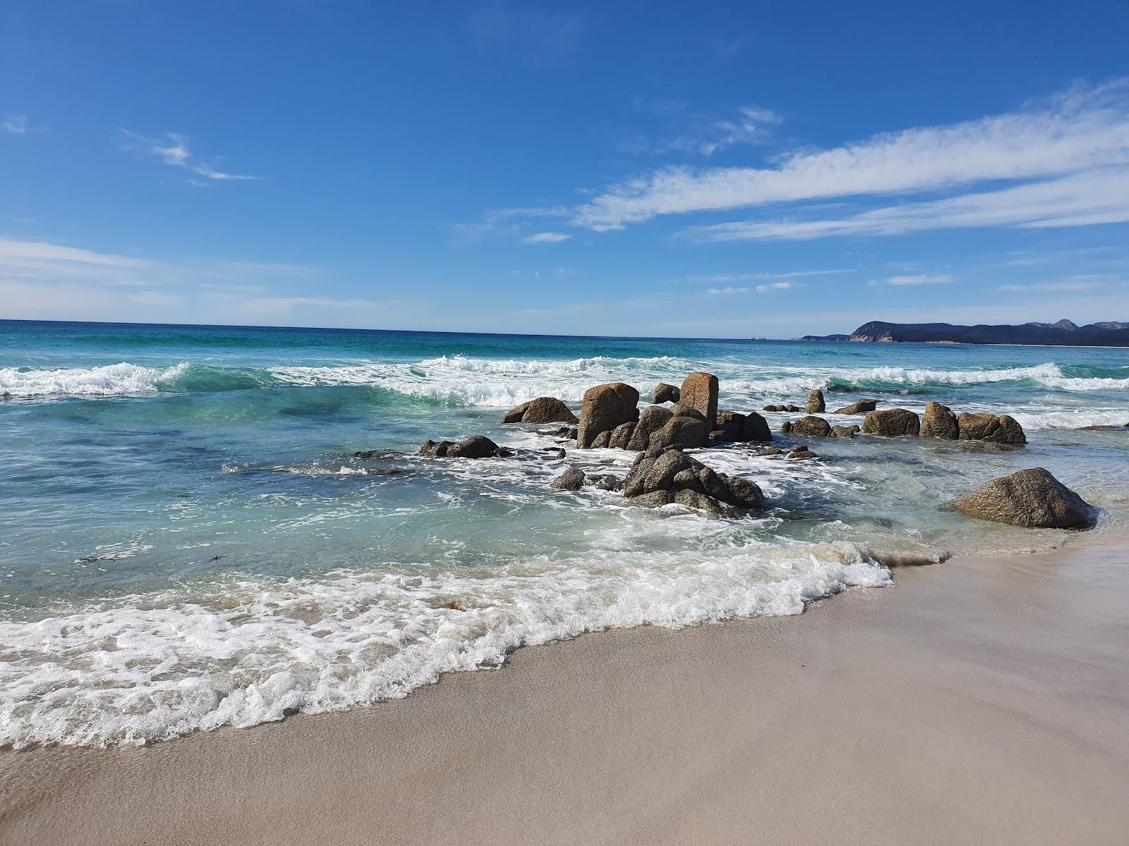 Sandee Friendly Beaches
