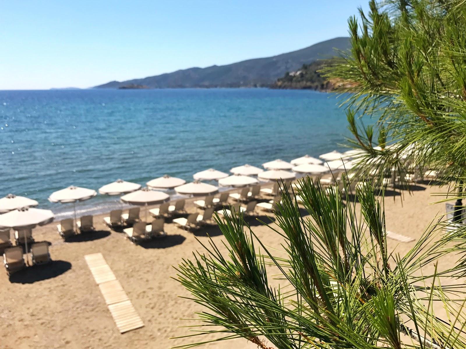 Sandee Kaptn Beach Bar & Restaurant