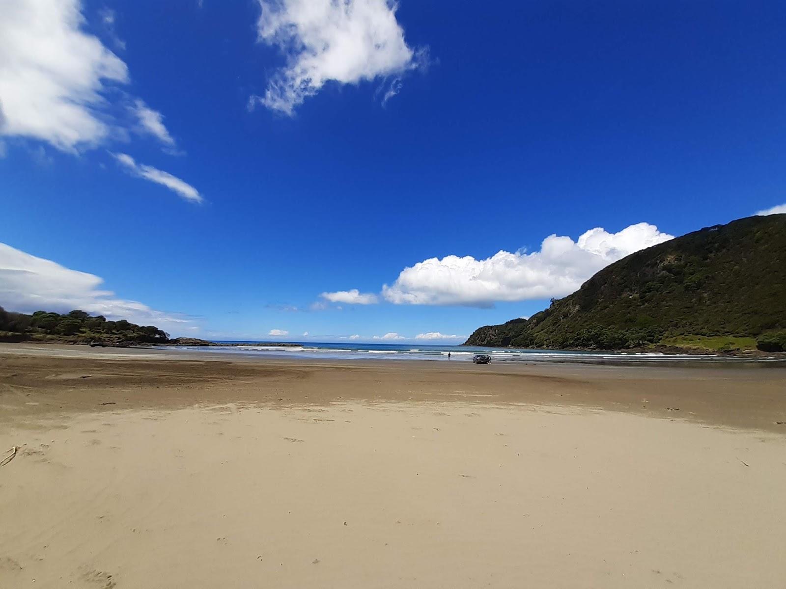 Sandee - HomePage / Waihau Bay
