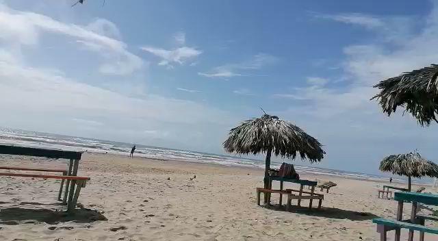 Sandee Playa Lauro Villar