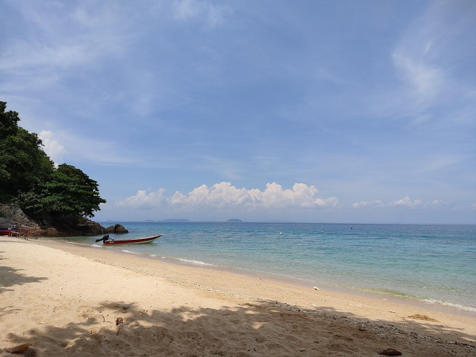 Sandee Rainforest Beach
