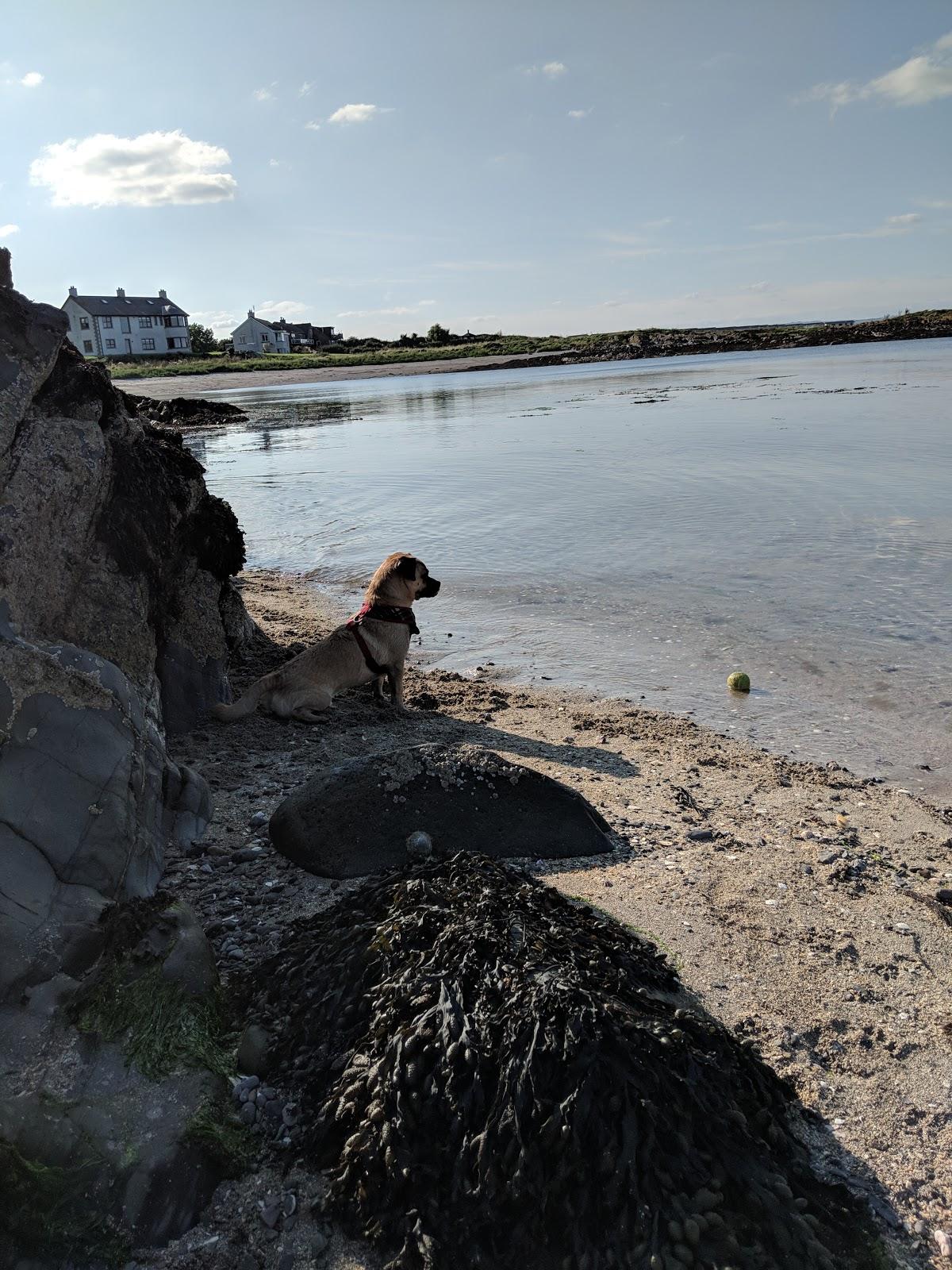 Sandee North Down Bay Beach