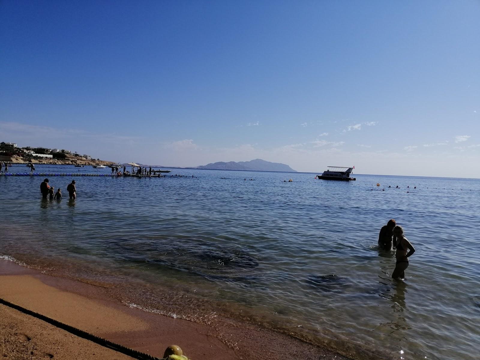 Sandee Shark Bay Beach