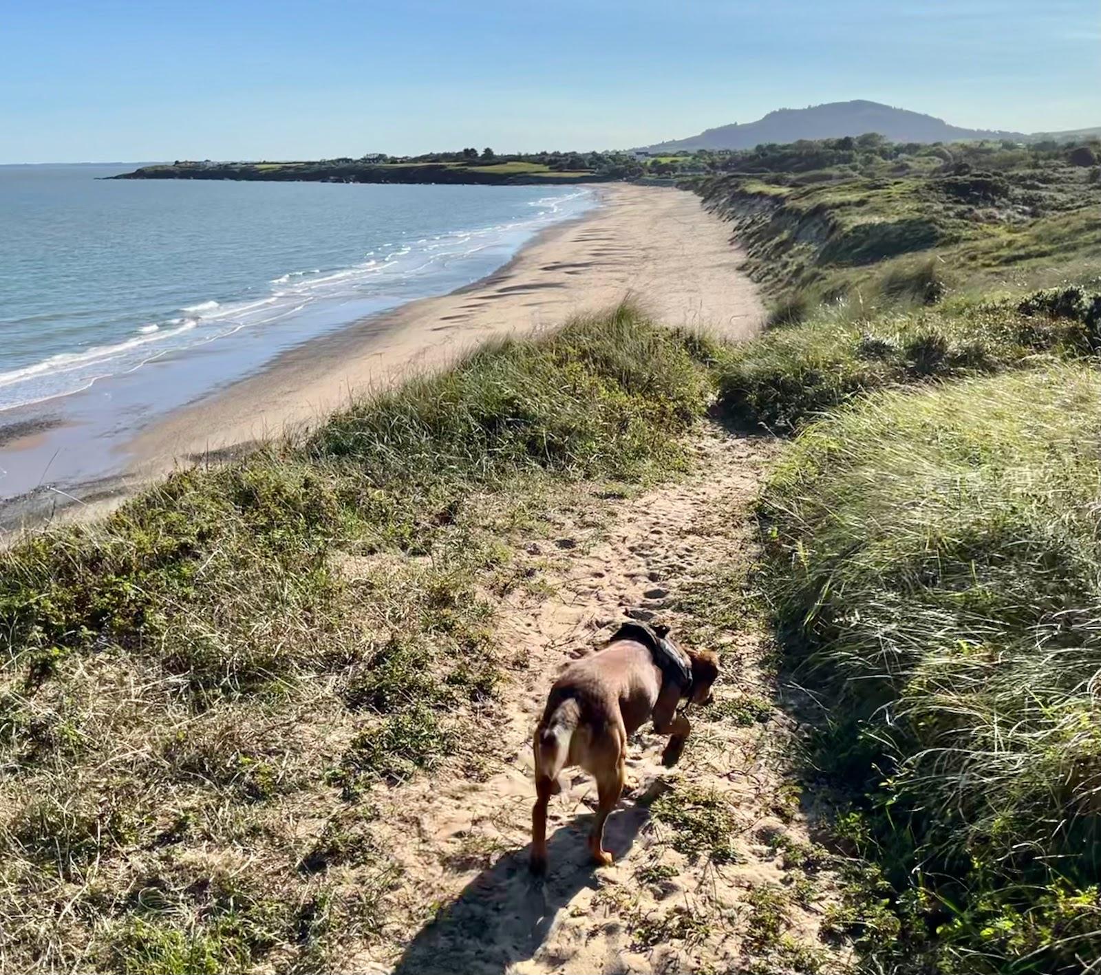 Sandee Kilpatrick Beach