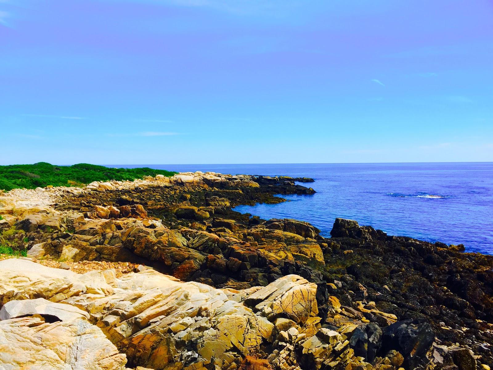 Sandee Cape Island Preserve
