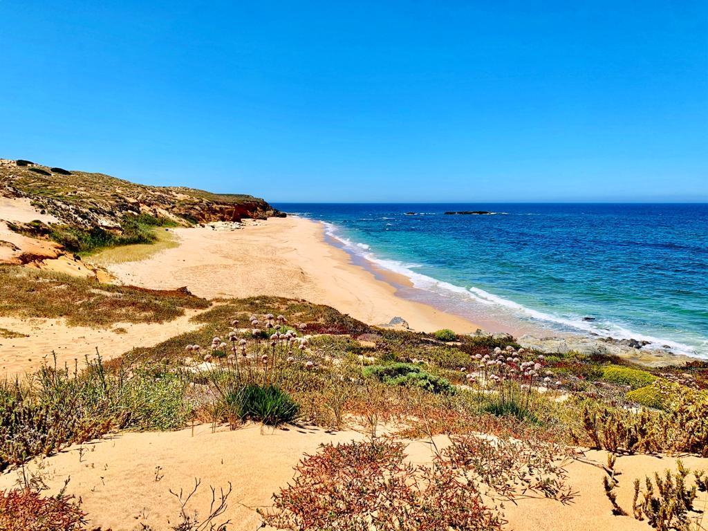 Sandee Praia Dos Canudos