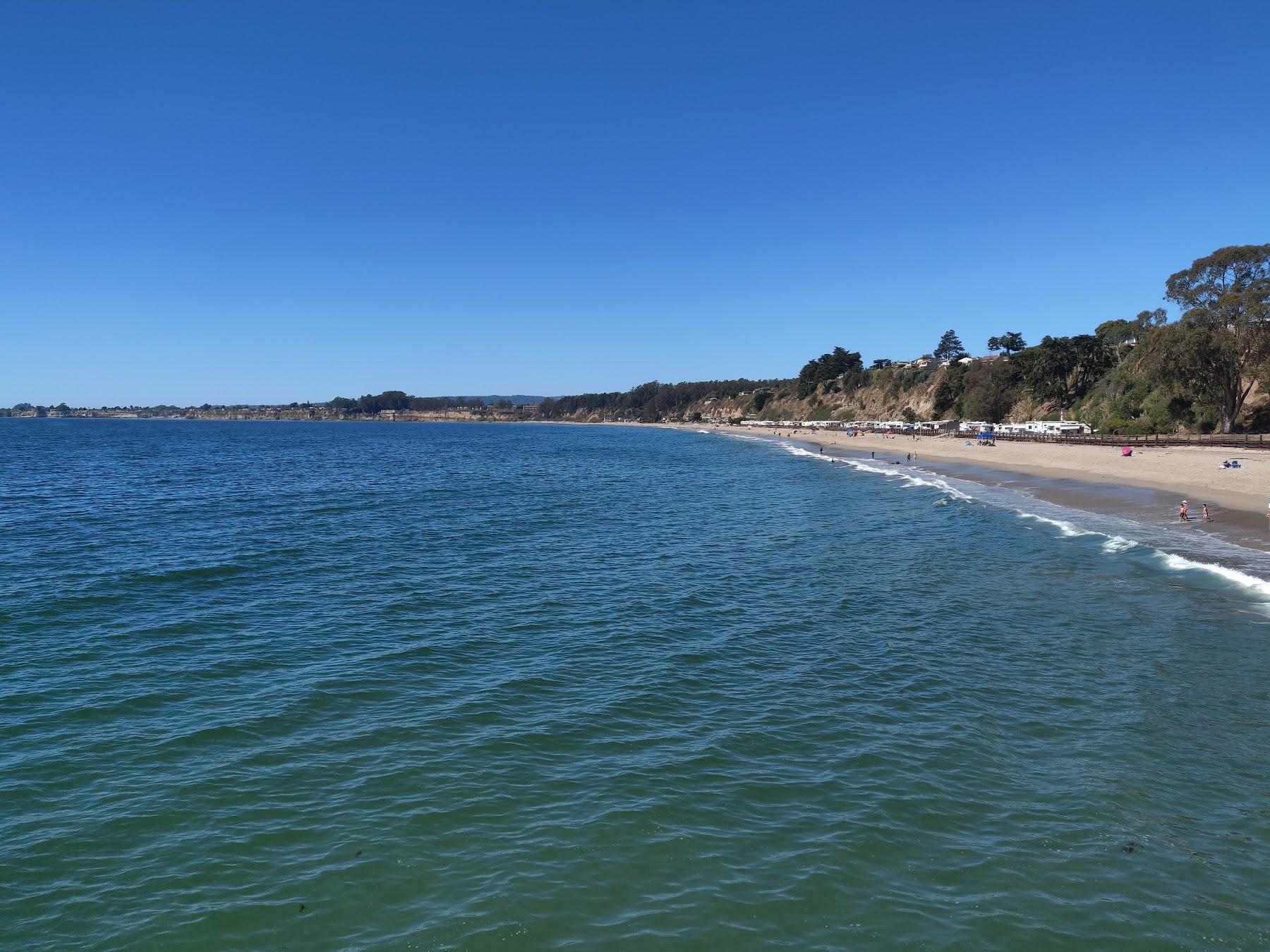 Sandee Seacliff Beach