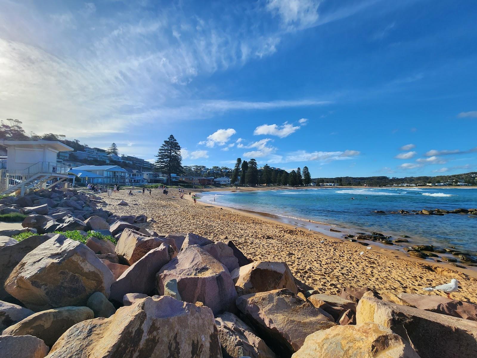 Sandee Avoca Beach