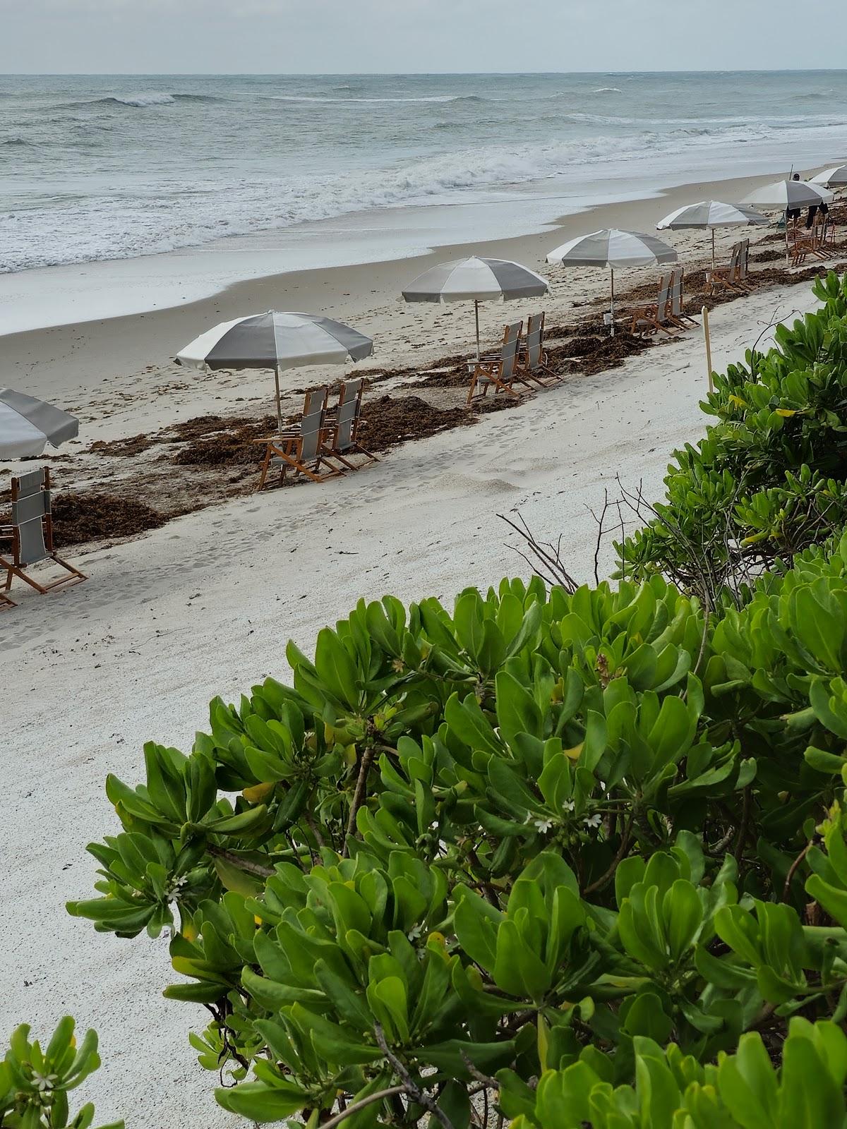 Sandee Beach Sea Oaks