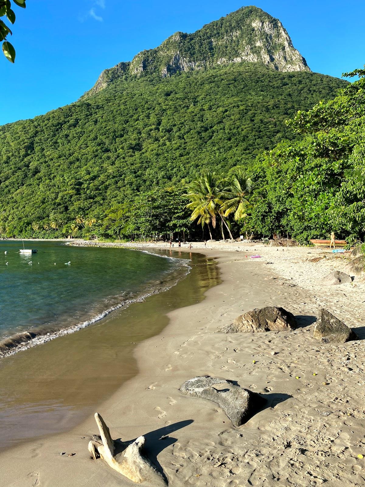 Sandee - HomePage / Choiseul