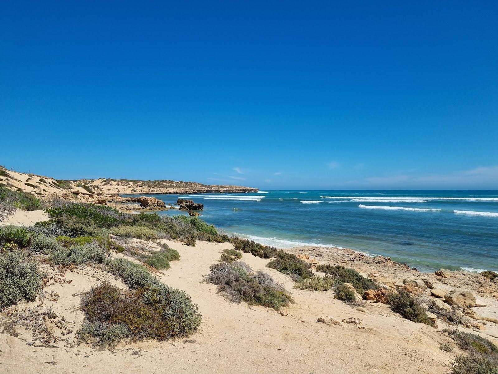 Sandee Cactus Beach