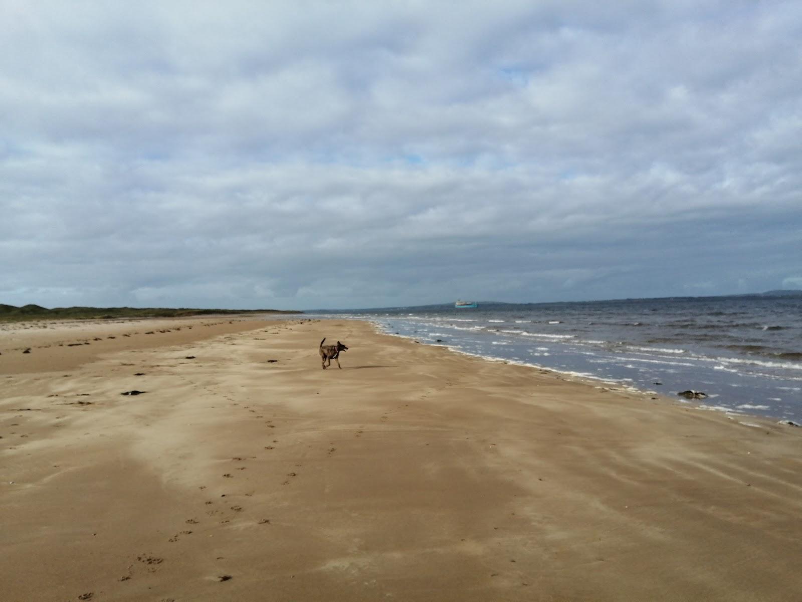 Sandee Beale Strand