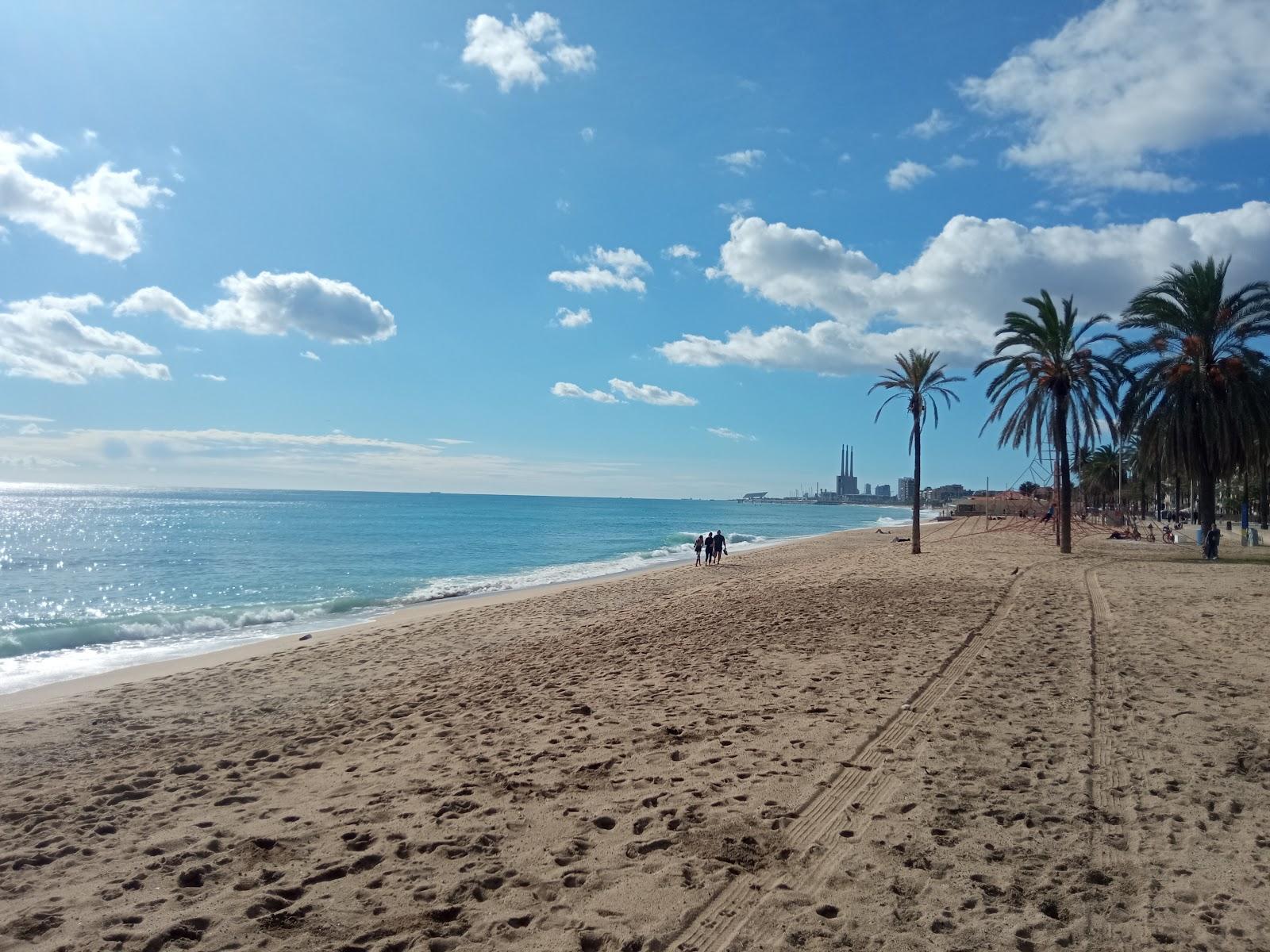Sandee Platja Del Pont D'En Botifarreta