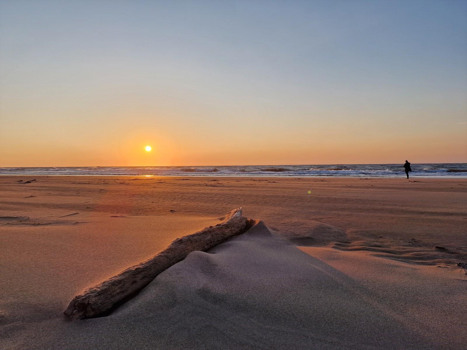 Sandee Tentsmuir Sands Beach