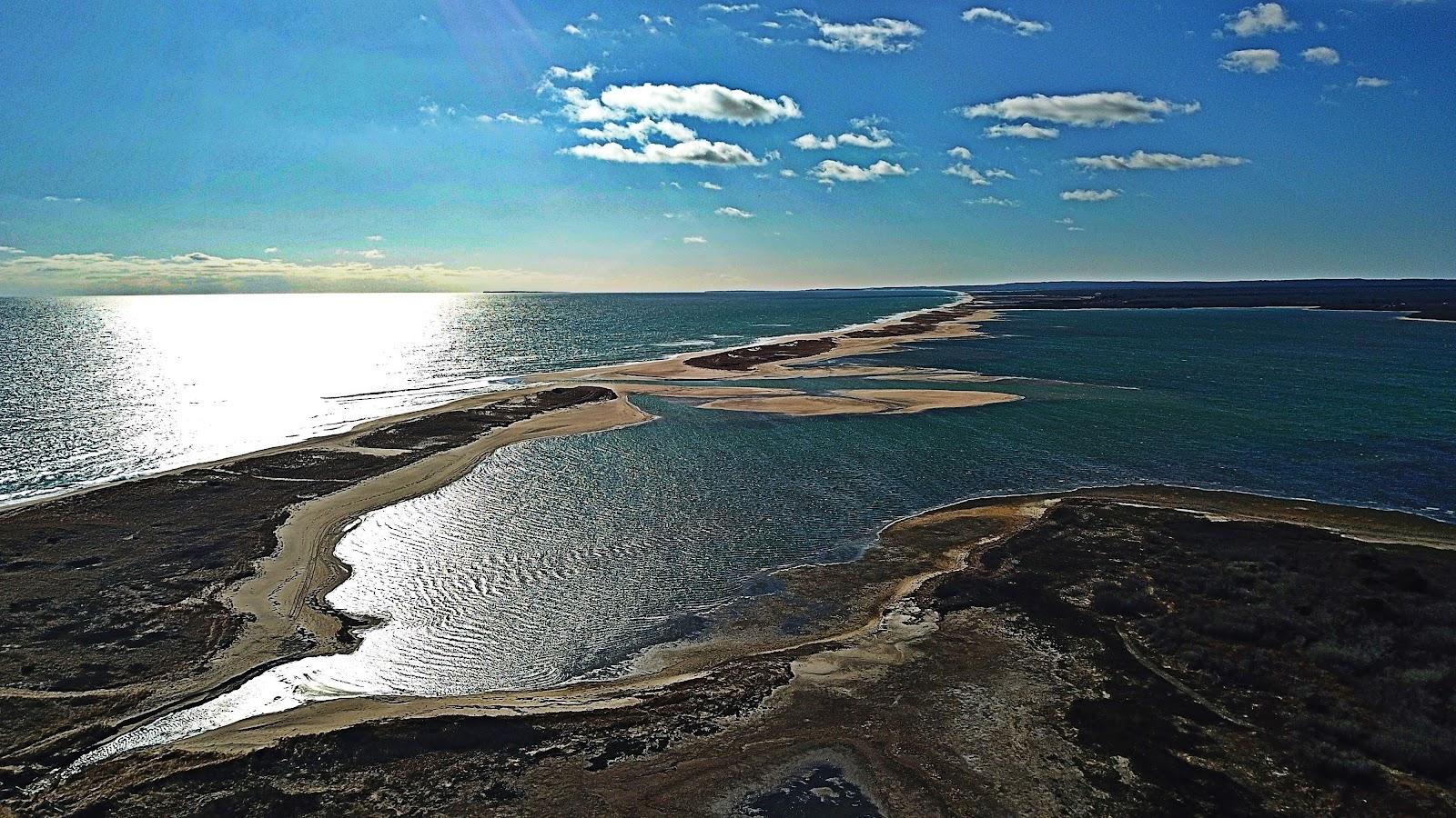 Sandee Ocean At Edgartown Strong Pond