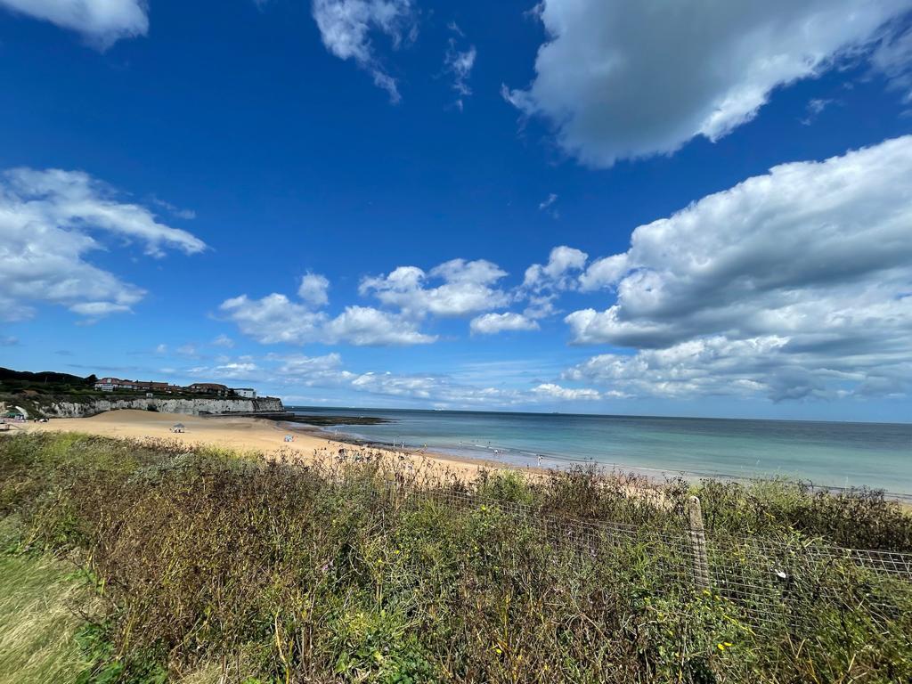 Sandee Pegwell Bay Beach