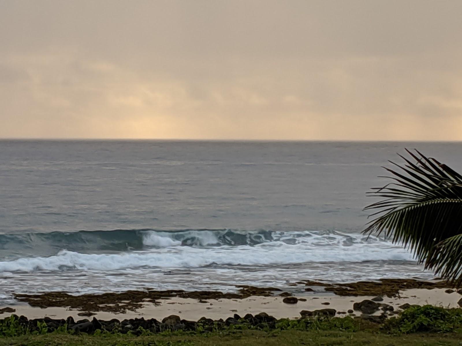 Sandee Kiikii Beach House - Raro Holiday Homes