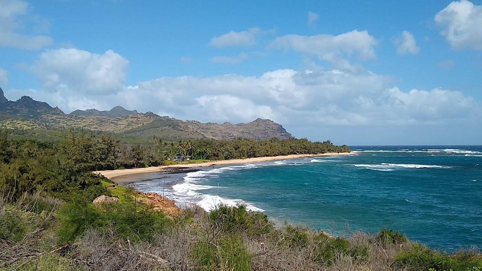 Sandee Gillins Beach