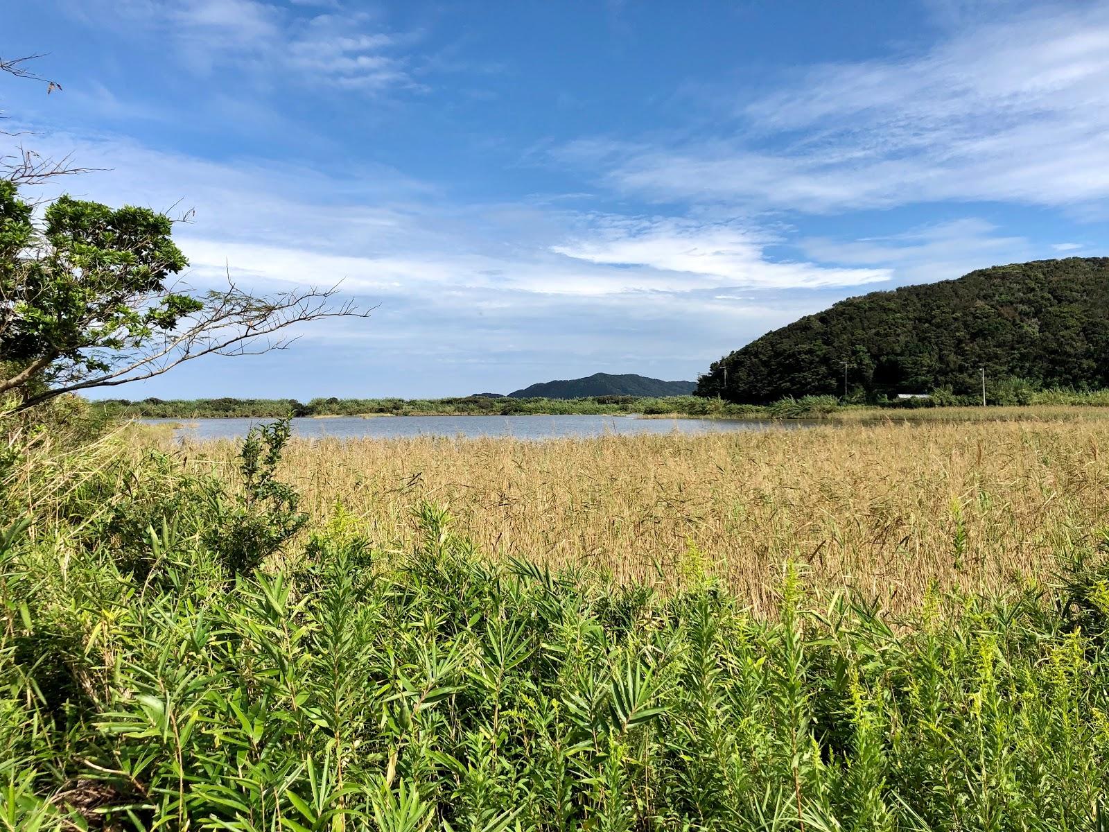 Sandee Ao Swamp